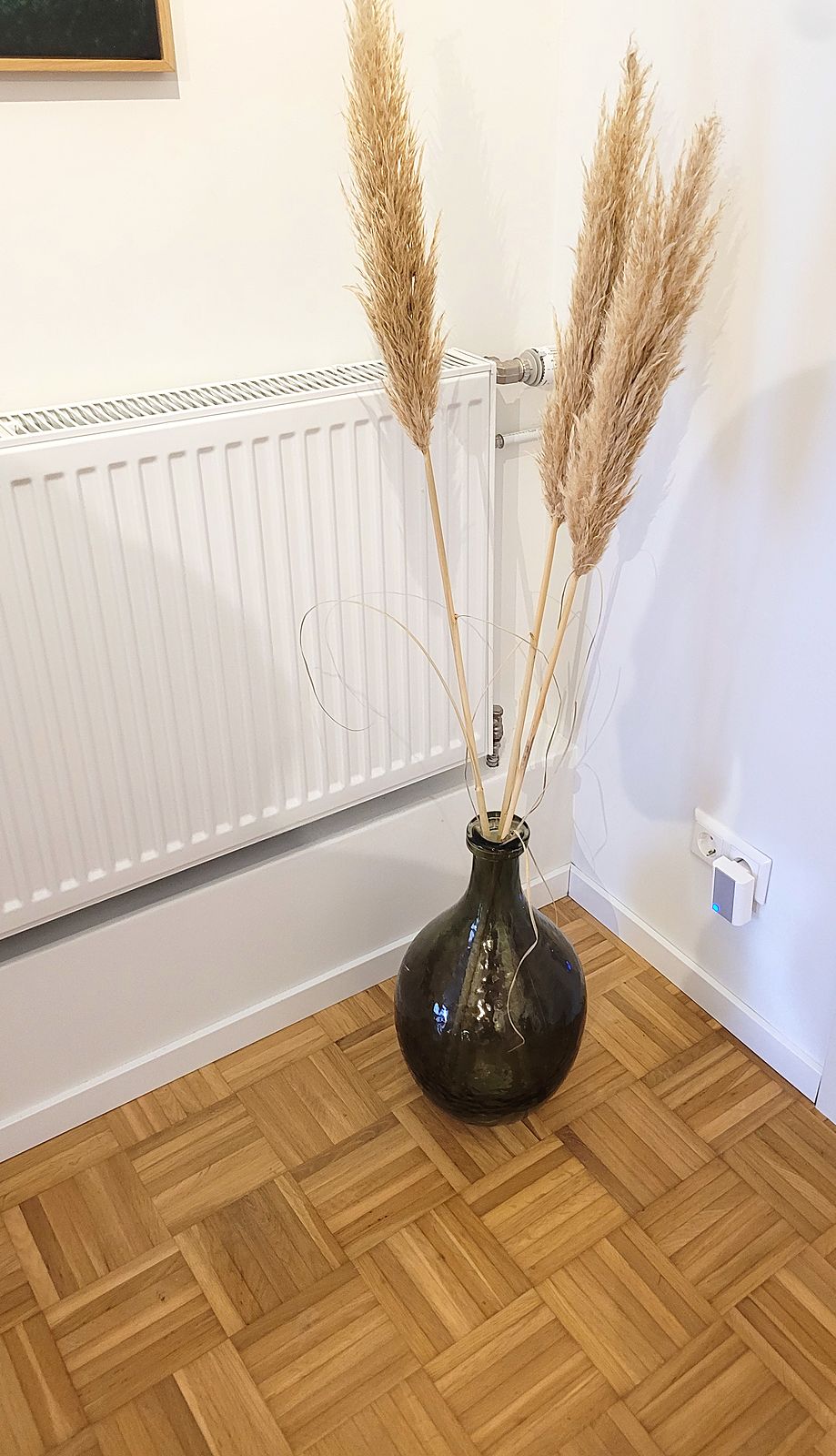 Pampasgras in einer dunklen Glasvase